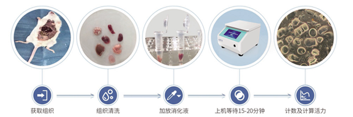 操作步骤.jpg